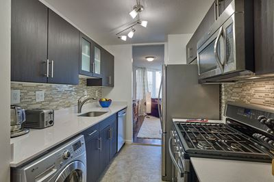 Apartment Kitchen